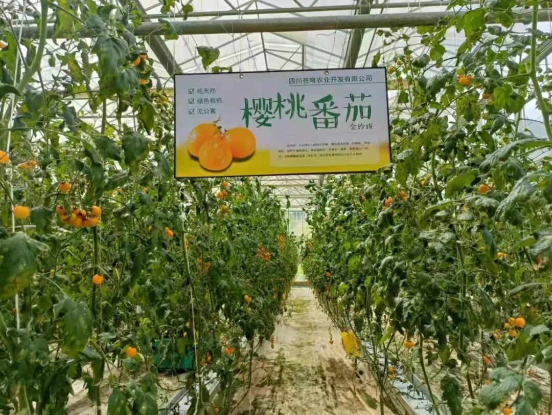 微信图片_20210916211419.jpg