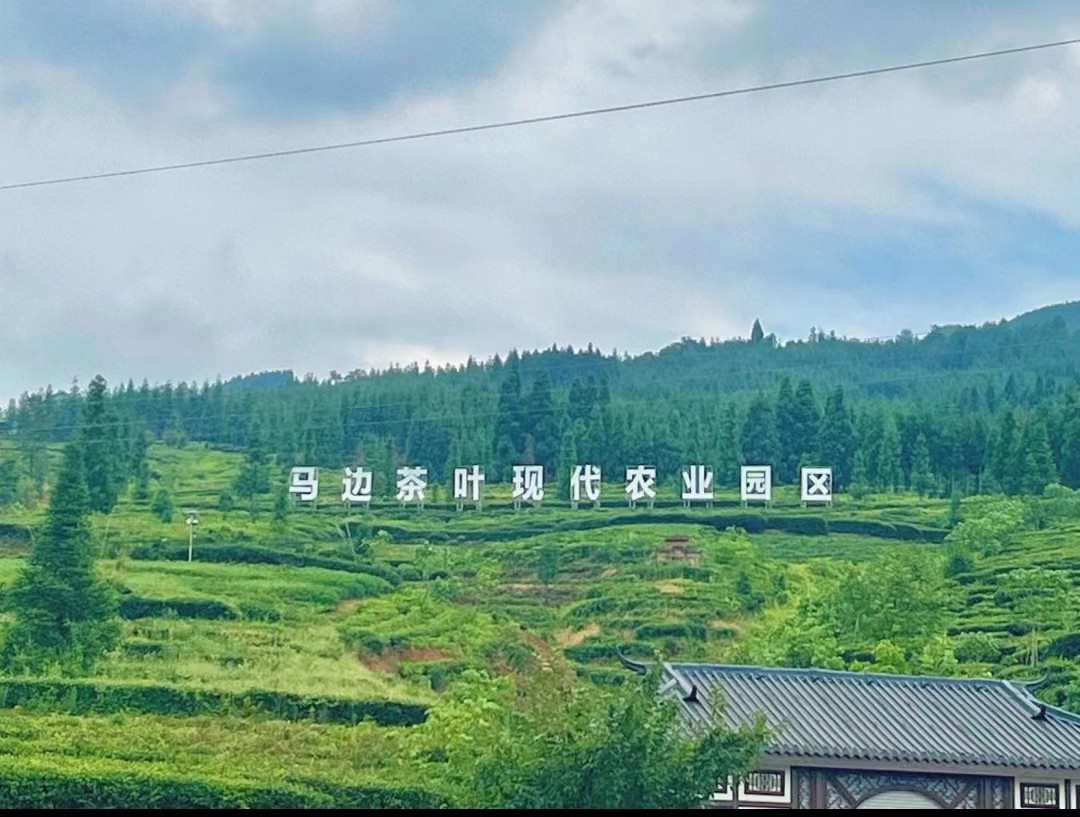 微信图片_20221002162341.jpg